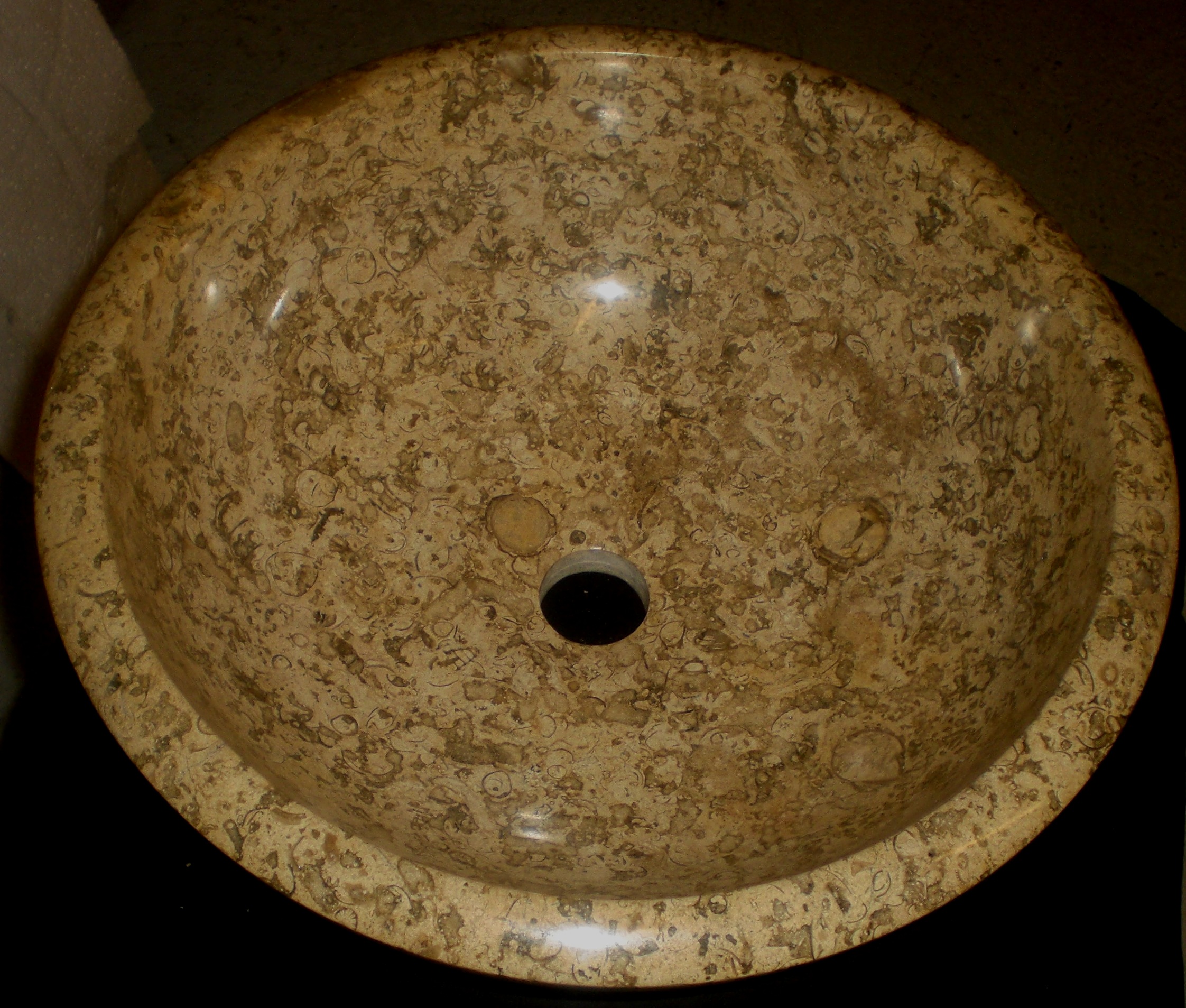 Fossilized Coral Limestone Sink