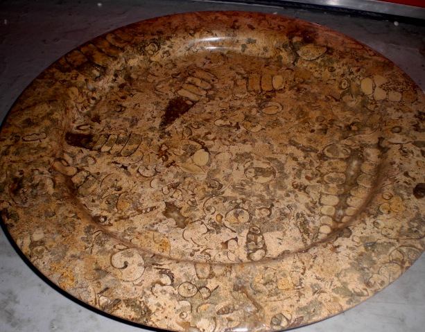 Fossilized Coral Limestone Platter
