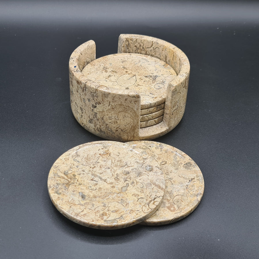 Coral Limestone with Fossils Coaster